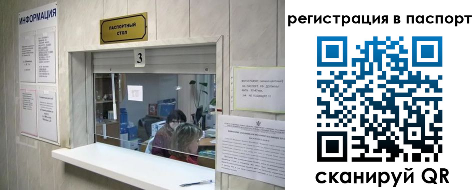 прописка поиск в Кораблино